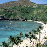 picture of the ocean and sand